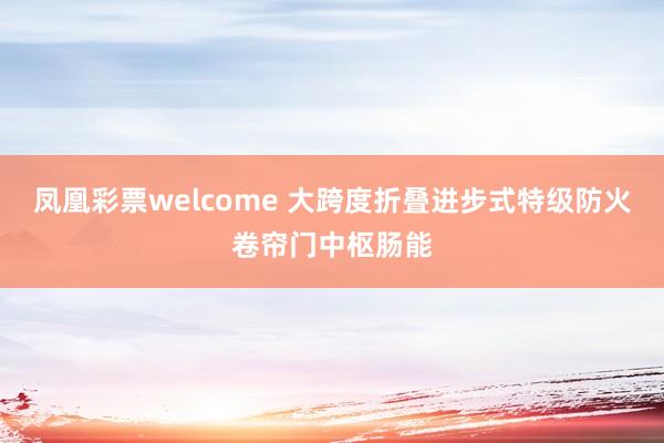 凤凰彩票welcome 大跨度折叠进步式特级防火卷帘门中枢肠能
