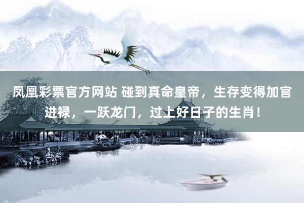 凤凰彩票官方网站 碰到真命皇帝，生存变得加官进禄，一跃龙门，过上好日子的生肖！