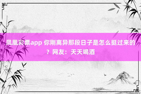 凤凰彩票app 你刚离异那段日子是怎么挺过来的？网友：天天喝酒