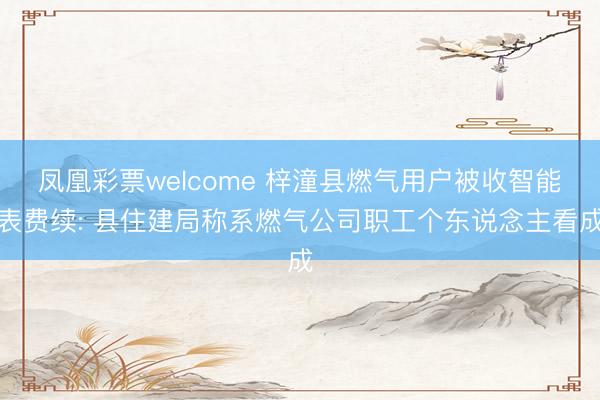凤凰彩票welcome 梓潼县燃气用户被收智能表费续: 县住建局称系燃气公司职工个东说念主看成
